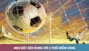 Mẹo bắt kèo rung với 3 thời điểm vàng dựa vào dữ liệu 7M